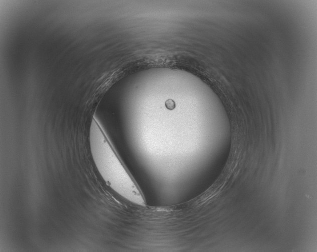 X0000059080432200510070935