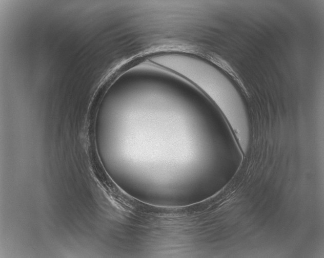 X0000059080436200510070934