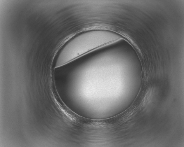 X0000059080437200510070934