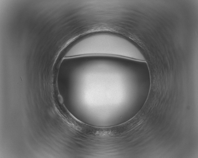 X0000059080440200510070934