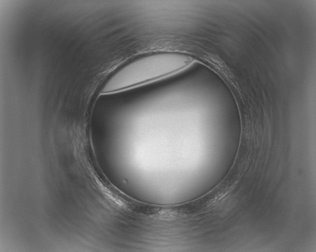 X0000059080441200510070934