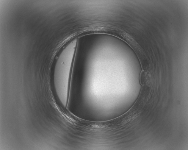X0000059080442200510070934