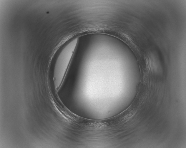 X0000059080443200510070934