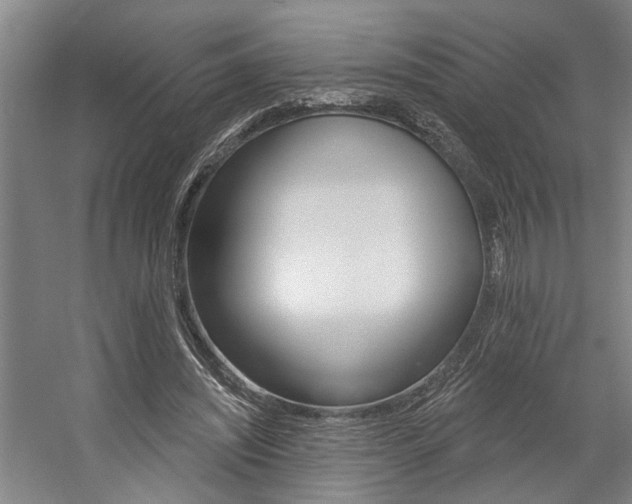 X0000059080444200510070934