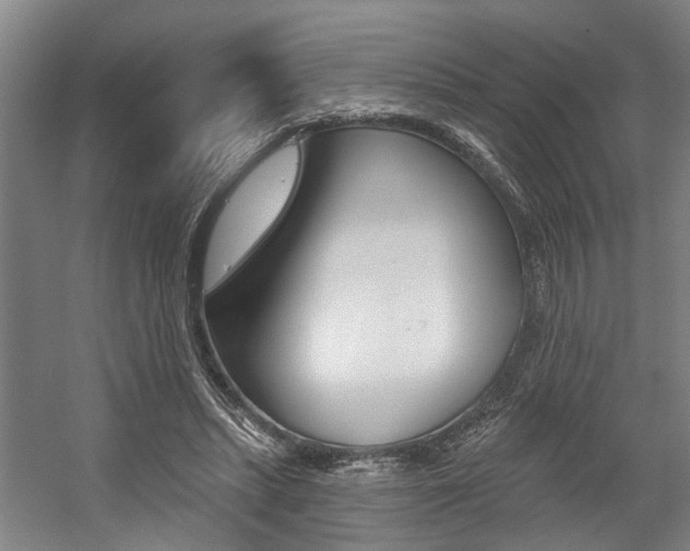 X0000059080447200510070934