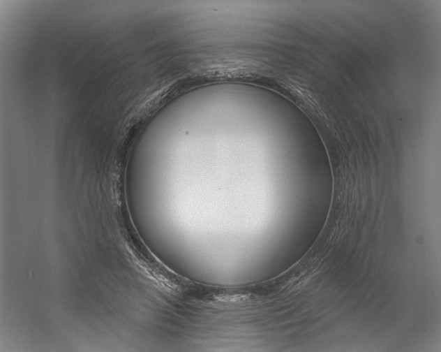 X0000059080450200510070934