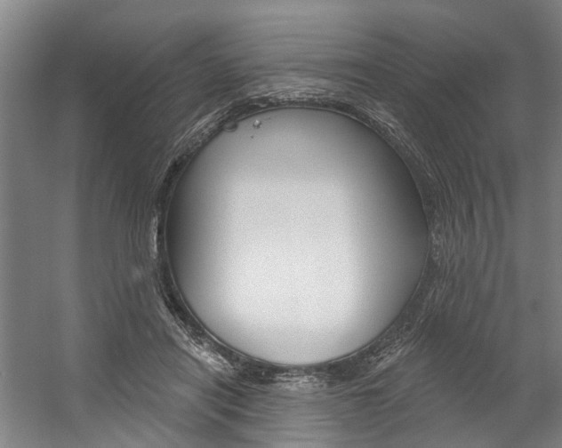 X0000059080454200510070934