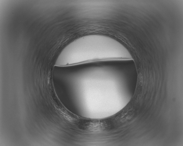 X0000059080458200510070934