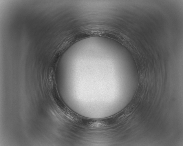 X0000059080460200510070934