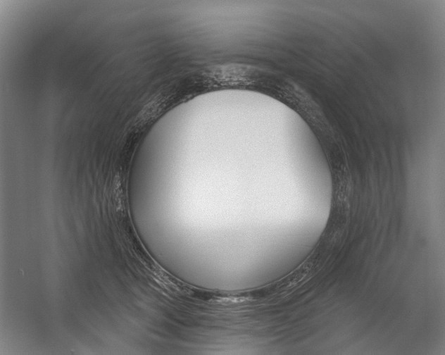 X0000059080465200510070934