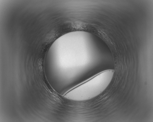 X0000059080466200510070934