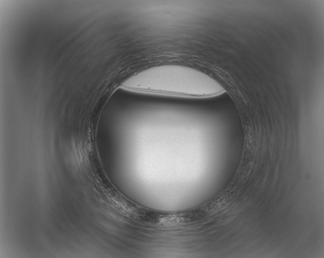 X0000059080470200510070934