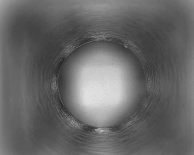 X0000059080477200510070934