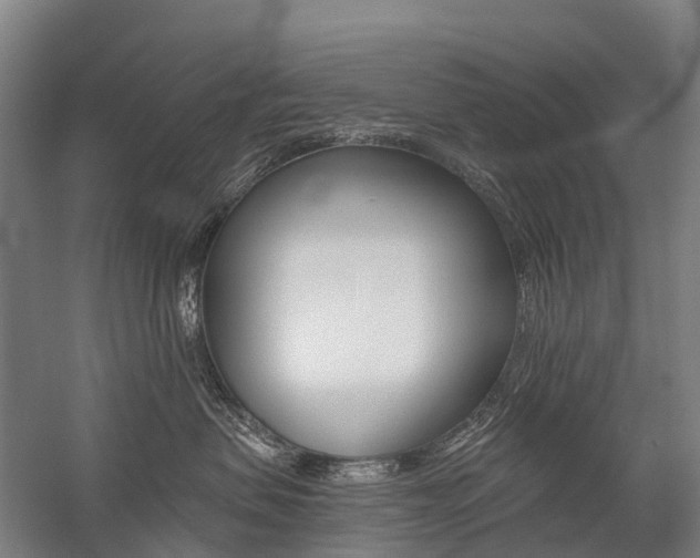 X0000059080479200510070935
