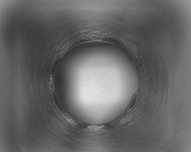 X0000059080480200510070935