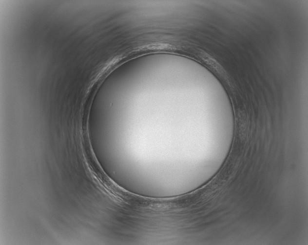 X0000059080482200510070934