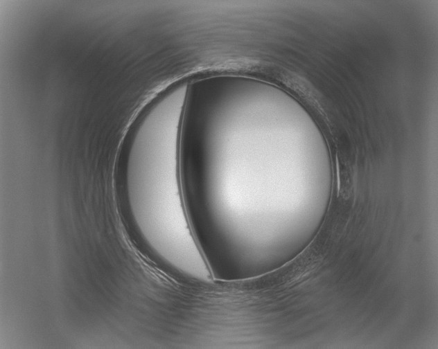X0000059080483200510070934