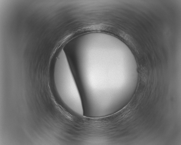 X0000059080486200510070934