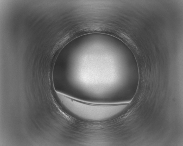 X0000059080489200510070934