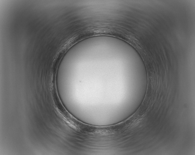 X0000059080490200510070934