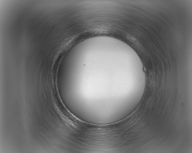 X0000059080494200510070933