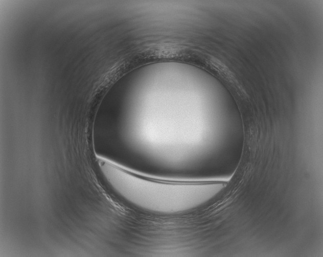 X0000059080497200510070933