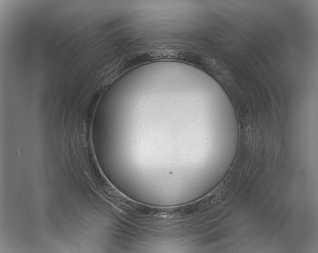 X0000059080498200510070933