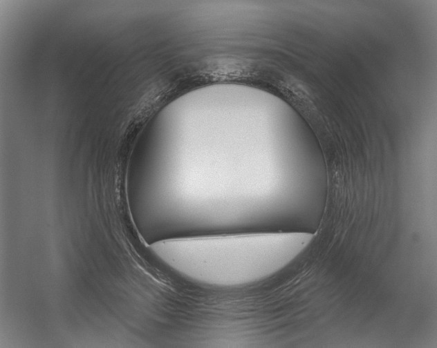 X0000059080499200510070933