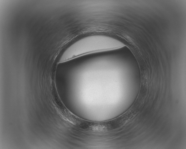 X0000059080500200510070933