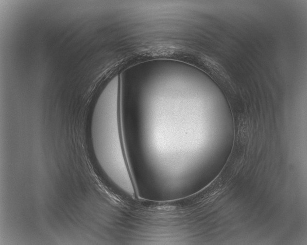 X0000059080501200510070933
