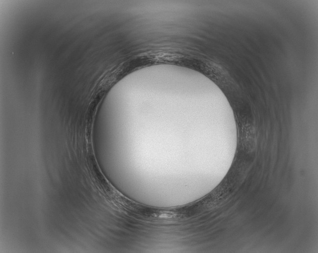 X0000059080506200510070933