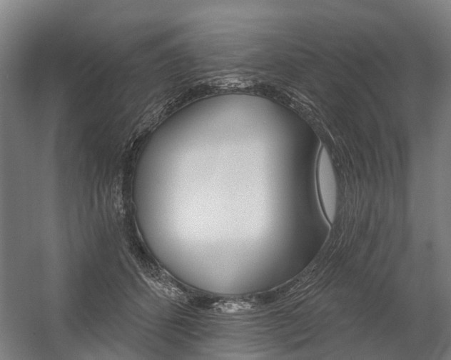 X0000059080512200510070933
