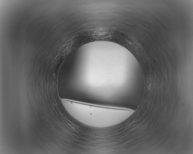 X0000059080515200510070933