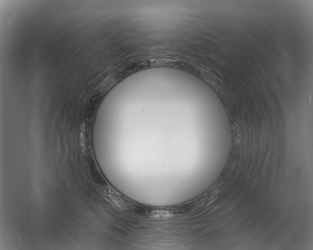 X0000059080519200510070933