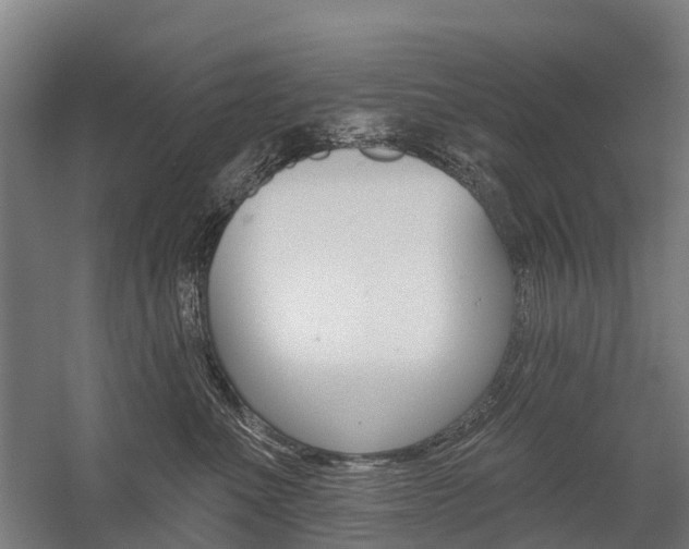 X0000059080523200510070933