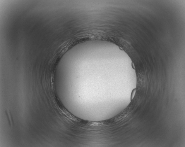 X0000059080527200510070933