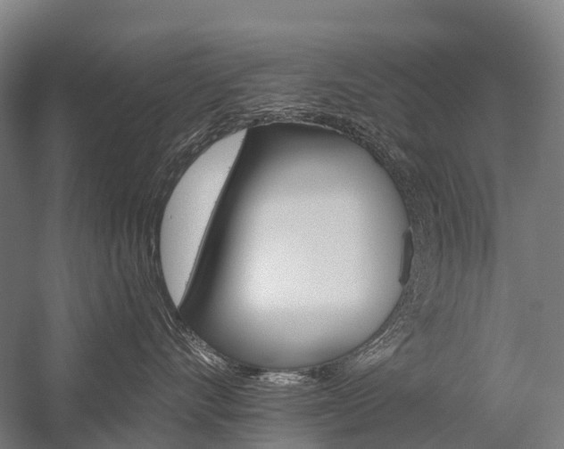 X0000059080528200510070933