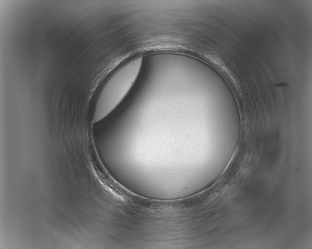 X0000059080533200510070932