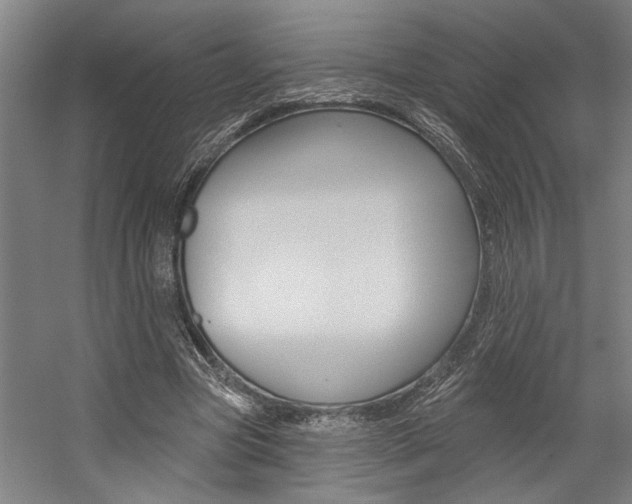 X0000059080537200510070932