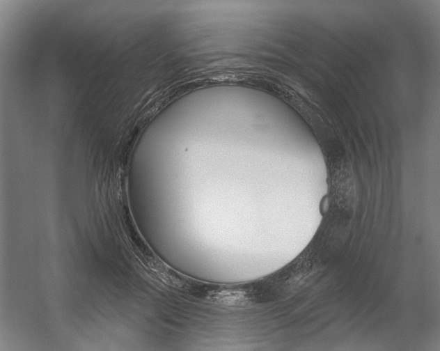 X0000059080554200510070933