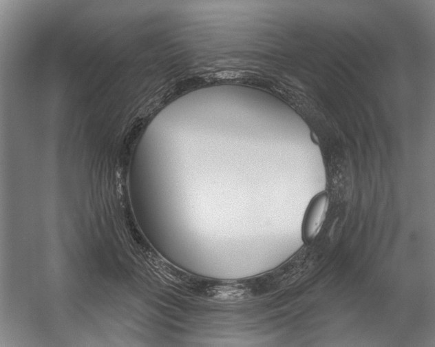 X0000059080555200510070933
