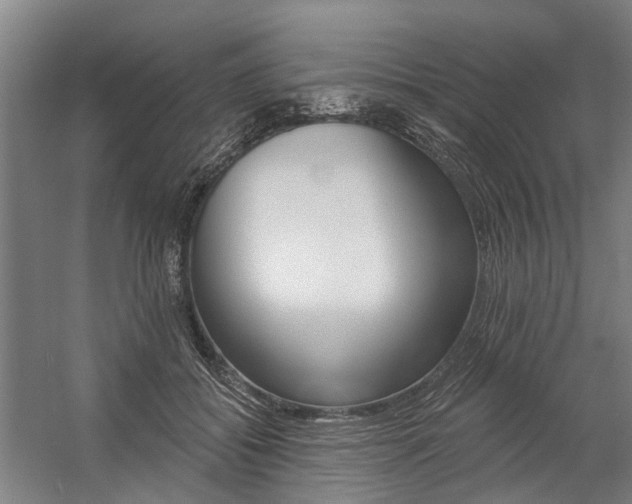X0000059080556200510070933
