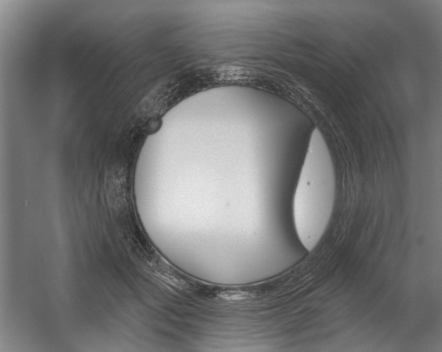 X0000059080557200510070933