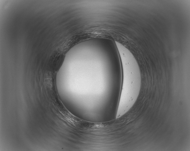 X0000059080562200510070933