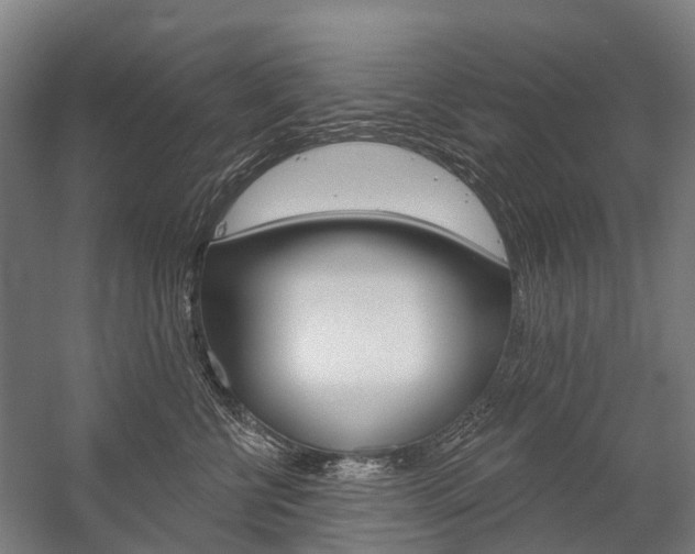 X0000059080570200510070933