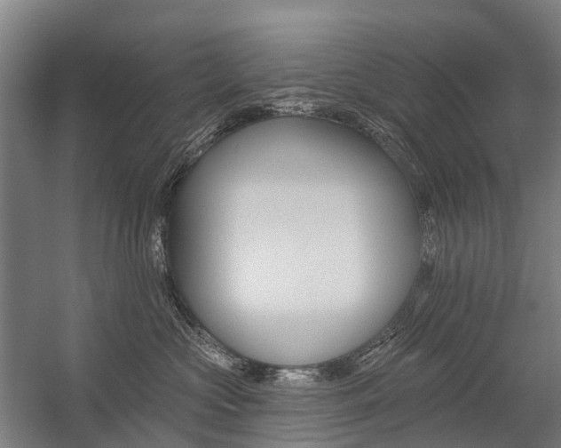 X0000059080573200510070933