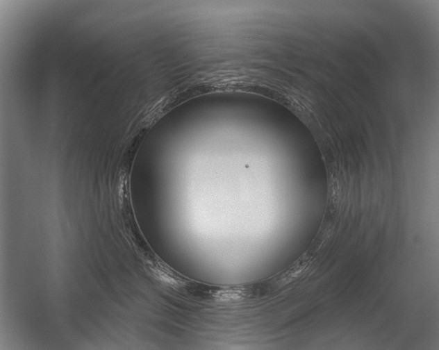 X0000059080574200510070933