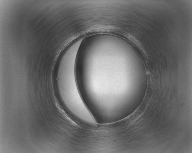 X0000059080581200510070932