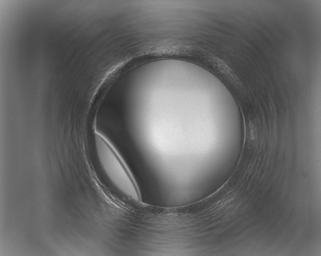 X0000059080588200510070932