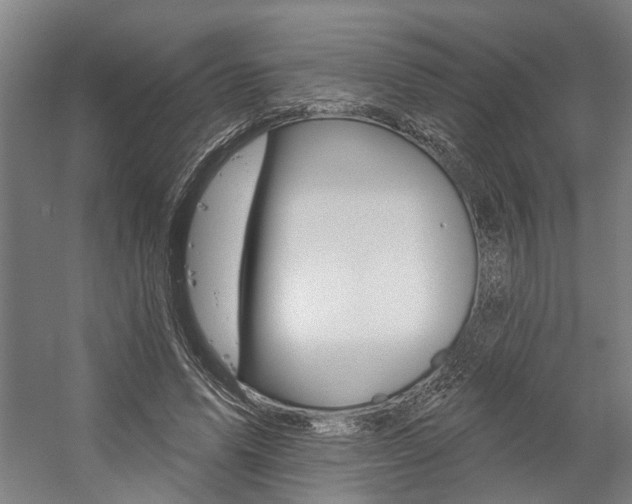 X0000059080591200510070932